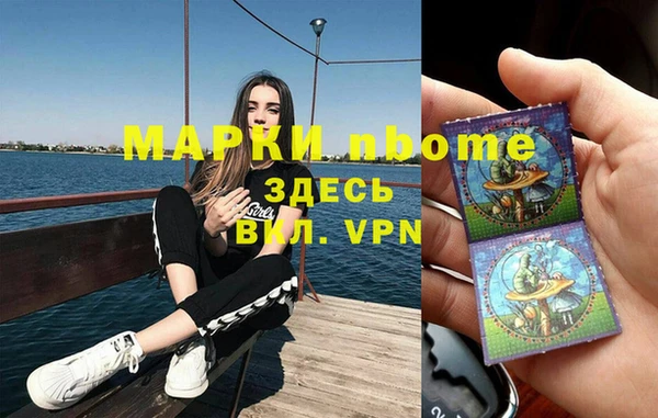 индика Алзамай