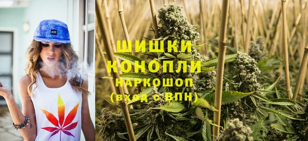 индика Алзамай