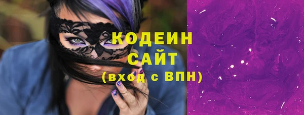 индика Алзамай