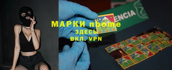 индика Алзамай